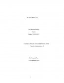 Acción popular derecho administrativo