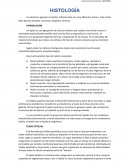Histología