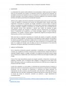 Análisis de Artículo Hoja De Ruta: Hacia Un Transporte Sostenible Y Eficiente