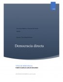 Democracia Directa Estructura Orgánica