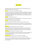 Investigación Vaca muerta