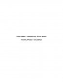 CATOLICISMO Y CONQUISTA DEL NUEVO MUNDO