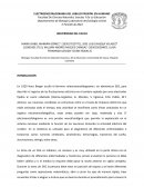 ELECTROENCEFALOGRAMA DEL LOBULO FRONTAL EN HUMANO