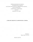EL ROL DEL TERAPEUTA Y EL PROCESO DE LA TERAPIA