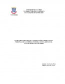 CLIMA ORGANIZACIONAL Y SATISFACCIÓN LABORAL EN EL PERSONAL DE LA EMPRESA NUESTRA COCINA ARTESANAL