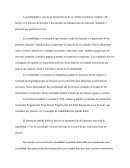 Introduccion contabilidad 1