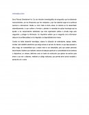 Sony Pictures Entertaiment Inc