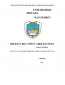 ELECTIVO IX (DERECHOS DEL NIÑO Y ADOLESCENTE)