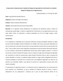 ENSAYO GESTION DE RIESGOS DE SEGURIDAD DE LA INFORMACION