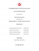 ANÁLISIS “CAÍDA EN PICADA”