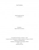 Programa de Contabilidad Publica Fundamento y Generalidades de la Investigación