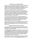 Monocultivo y su impacto ambiental