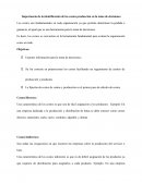 Importancia de la identificación de los costos producción en la toma de decisiones