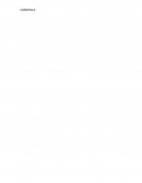 DELINCUENCIA JUVENIL