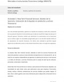 New York Financial Services. Gestión de la tesorería. Colocación de la liquidez en productos y activos financieros