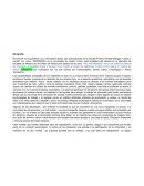 Ensayo trabajo final metodología