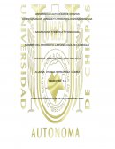 PROYECTO: LA FONOLOGÍA DE LA LENGUA