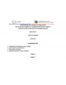 PRACTICA 1 CAFÉ EN GRANO