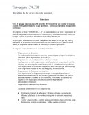 Tarea CAC01 “NORMEDIA, S.L.”