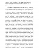 DE NÓMADAS A SEDENTARIOS ESTILO DE VIDA EN EL NEOLÍTICO