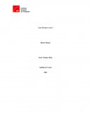 CASO PRACTICO 2 PRODUCCION DE BIENES SOSTENIBLES