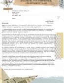 Anàlisis del funcionamiento de una entidad tutelar