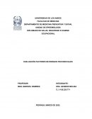 EVALUACIÓN FACTORES DE RIESGOS PSICOSOCIALES