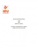 Derecho laboral. Actividad Problemática laboral