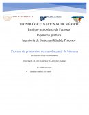 Proceso de producción de etanol a partir de biomasa avance