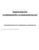 LA ORGANIZACIÓN Y LA LEGISLACION DEL SEA