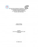 GUION TECNICO “GLOBOS AL AIRE”