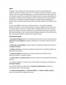 Embriología del hígado