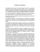 Ecologismo y Ambiestalismo