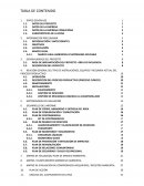 Informe Ambiental de Cumplimiento junio 2017- junio 2019 MANADIALISIS S.A