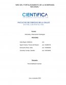 Entrevista y Observación Psicologica