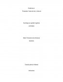 Propuesta “Caso pio pio y más pio" Tecnólogo en gestión logística