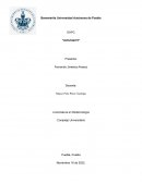 Actividad DHPC Características del pensamiento básico