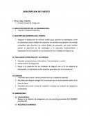 DESCRIPCION DE PUESTO Analista