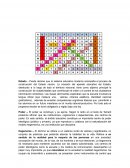 Politica y educacion