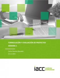 Tarea 1 formulación y evaluación de proyectos. Página 1