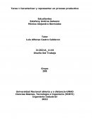 Caracterizar y representar un proceso productivo