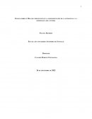 Ensayo sobre el Rol del presupuesto en la implementación de la estrategia y la importancia del control