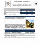 Seguridad y riesgos en el trabajo Reporte de actos y condiciones inseguras