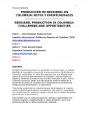 PRODUCCIÓN DE BIODIESEL EN COLOMBIA: RETOS Y OPORTUNIDADES