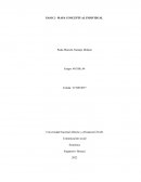 MAPA CONCEPTUAL INDIVIDUAL