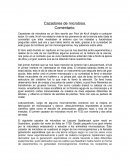 Ensayo Cazadores de microbios , libro escrito por Paul de Kruif