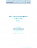 Caso práctico grupal: Barber Cardiosystems
