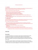 Plan de marketing herboristeria