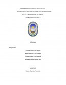 LABORATORIO DE FÍSICA I Movimiento Vertical