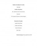 Resumen: “El Concepto de Especie en Microbiología”